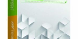 Eco Green - Copier Paper