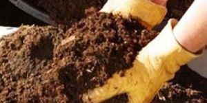 Organic Fertilizer