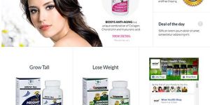 Website Designing Services