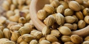 Coriander Seeds