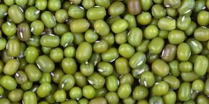 Whole Green Moong Dal