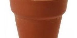 Flower Pot