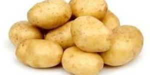 Potato