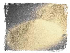 Whey Protein Powder