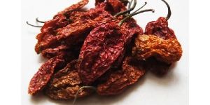 Dried Bhut Jolokia