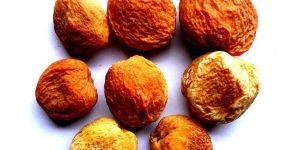 Dried Apricots