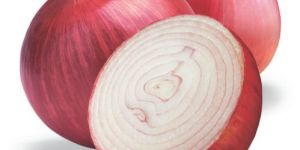 Fresh Red Onion