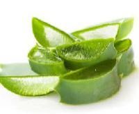 Aloe Vera Skin Gel