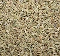 Cumine Seed