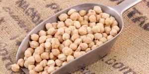 White Chickpeas