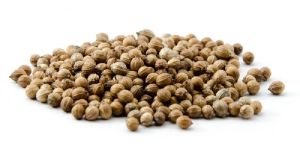 Coriander Seeds