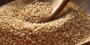 Sesame Seeds
