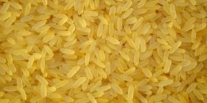 Sortex Rice