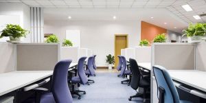 Office Painting Services