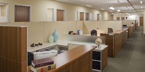 Office Interior Designing Services
