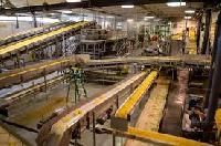 Vegetables Processing Plants