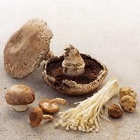 Shiitake Mushroom