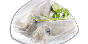 Frozen Whole Cuttlefish