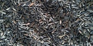 Niger Seeds