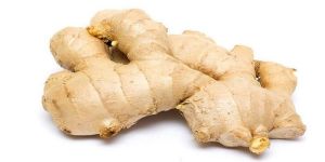 Organic Ginger