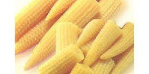 Frozen Baby Corn