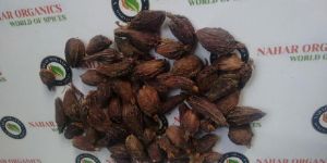 Black Cardamom