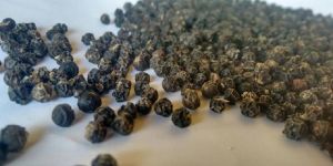Black Pepper