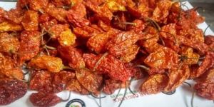 Oven Dried Bhut Jolokia