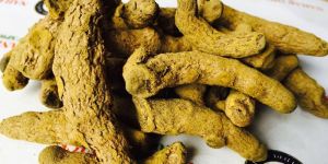 Turmeric Finger