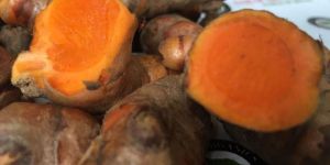 Fresh Turmeric