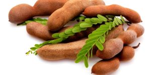 Tamarind Pods