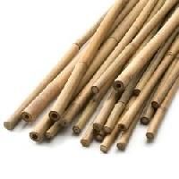 Kulfi Sticks