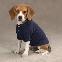 Dog Shirt