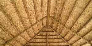 Bamboo Ceiling
