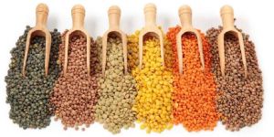 Indian Pulses