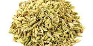 Fennel Seeds