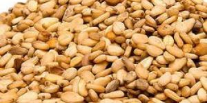 Sesame Seeds