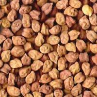 Black Chickpeas