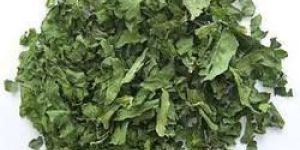 Dehydrated Spinach Leaves