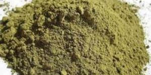 Dehydrated Tulsi Powder