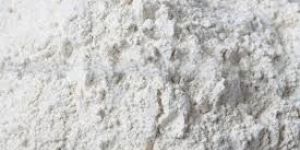 Dehydrated White Onion Powder