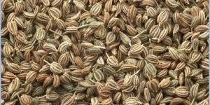 Ajwain Seed