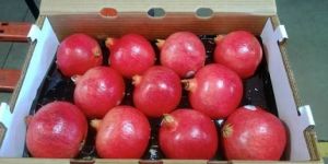 Pomegranate