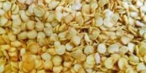 Red Chilli Seeds