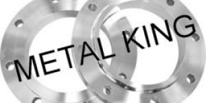 Nickel Flanges