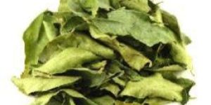 Dehydrated Curry Leave