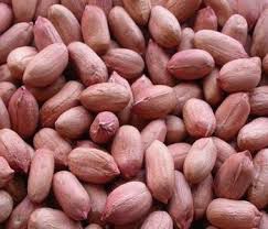 Bold Groundnuts