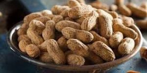 Shelled Groundnuts