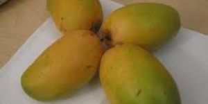 Kesar Mango
