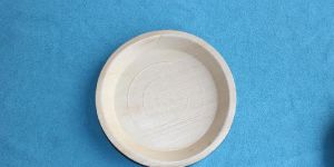 Round 10 Inch Standard Size Disposable Areca Leaf Plates